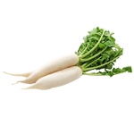 Daikon Radish