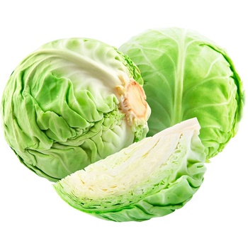 Young Cabbage - buy, prices for NOVUS - photo 1