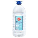 Petrykivska Non-carbonated Mineral Water 6l